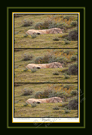 IMG_5D089201-03